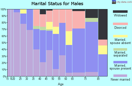 Zip code 48034 marital status for males