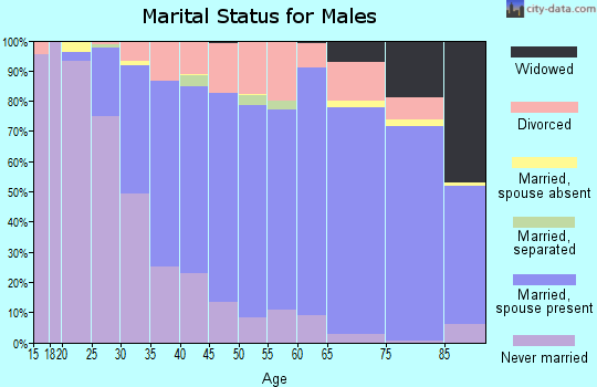 Zip code 48038 marital status for males