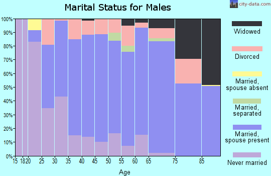 Zip code 48040 marital status for males