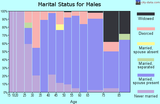 Zip code 48041 marital status for males