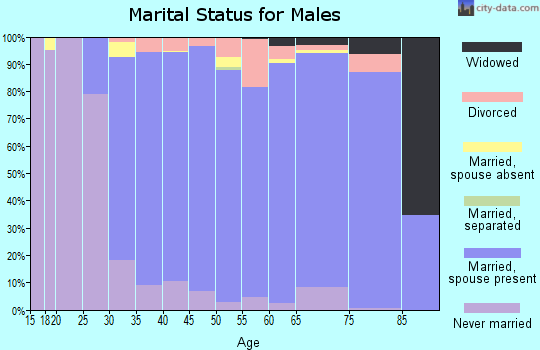 Zip code 48042 marital status for males