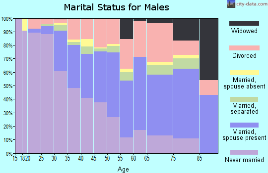 Zip code 48043 marital status for males