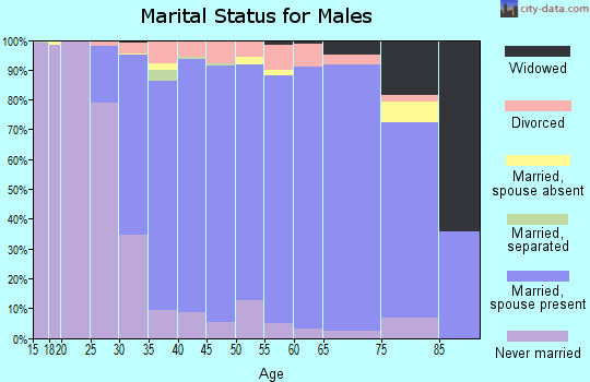 Zip code 48044 marital status for males