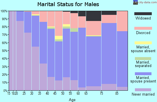 Zip code 48045 marital status for males