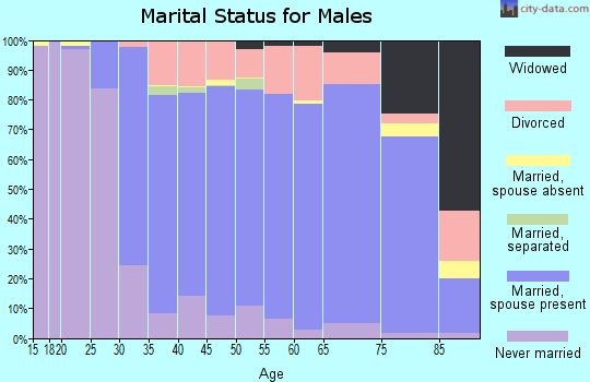 Zip code 48047 marital status for males