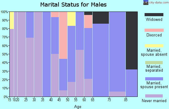 Zip code 48050 marital status for males