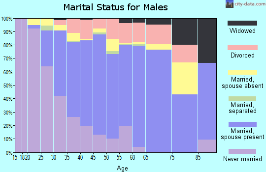 Zip code 48051 marital status for males