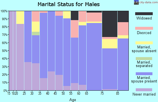 Zip code 48062 marital status for males