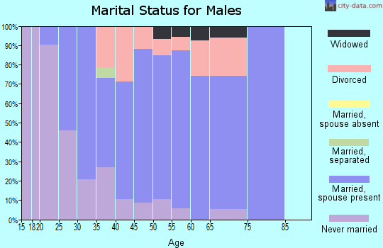 Zip code 48063 marital status for males