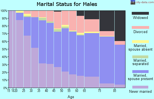 Zip code 48066 marital status for males