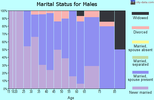 Zip code 48069 marital status for males