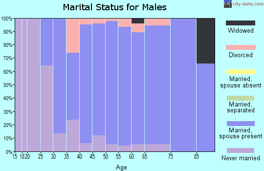 Zip code 48070 marital status for males