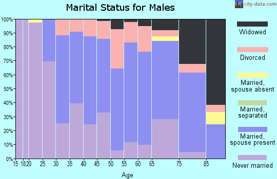 Zip code 48072 marital status for males