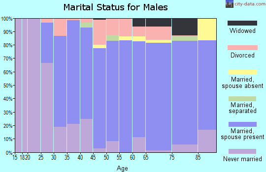 Zip code 48079 marital status for males
