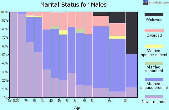 Zip code 48080 marital status for males