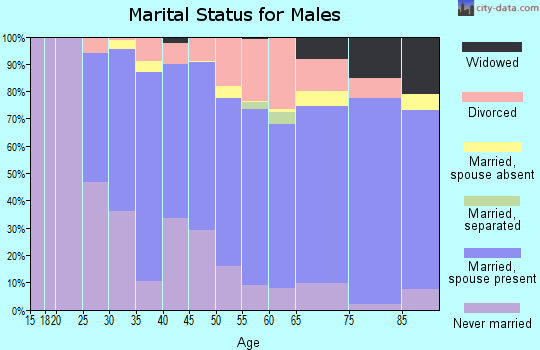 Zip code 48082 marital status for males