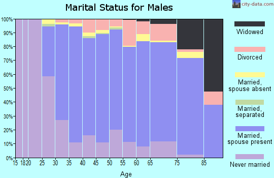 Zip code 48083 marital status