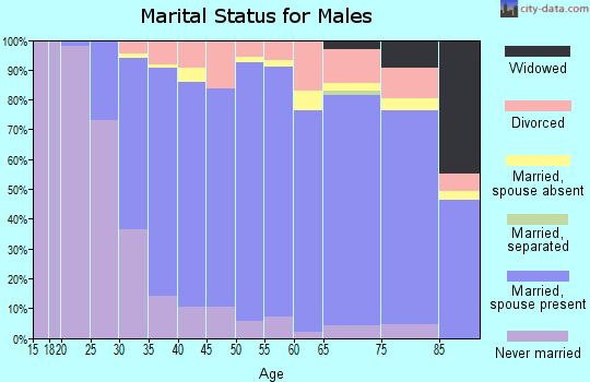 Zip code 48084 marital status