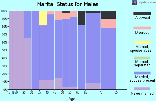 Zip code 48095 marital status for males