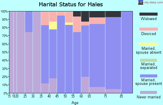 Zip code 48096 marital status for males