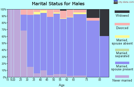 Zip code 48098 marital status for males