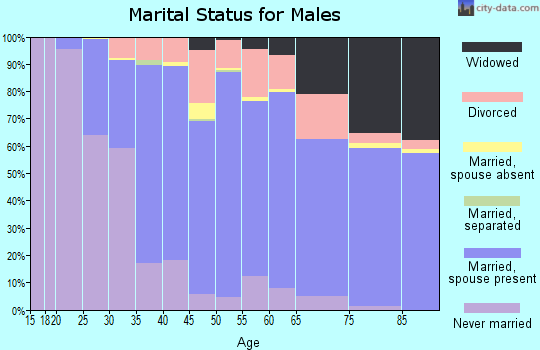 Zip code 48101 marital status for males