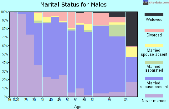 Zip code 48105 marital status