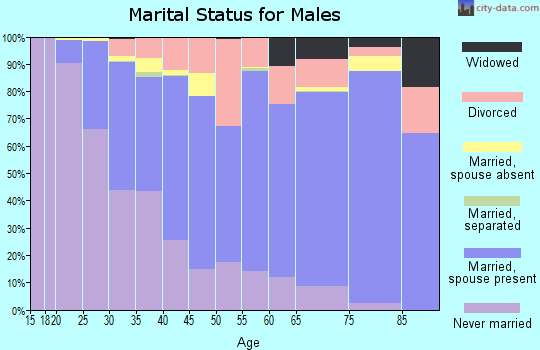 Zip code 48108 marital status for males
