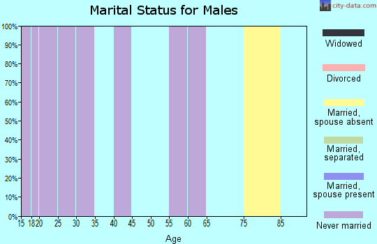 Zip code 48109 marital status for males