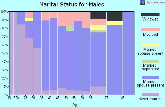 Zip code 48117 marital status for males