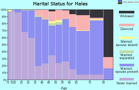Zip code 48125 marital status for males