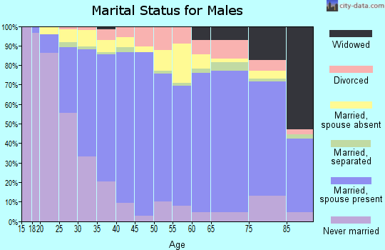 Zip code 48126 marital status for males