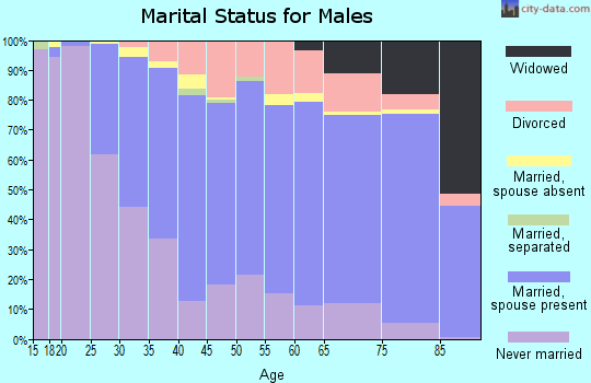 Zip code 48127 marital status for males
