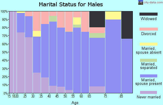 Zip code 48131 marital status for males