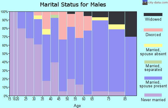 Zip code 48133 marital status for males