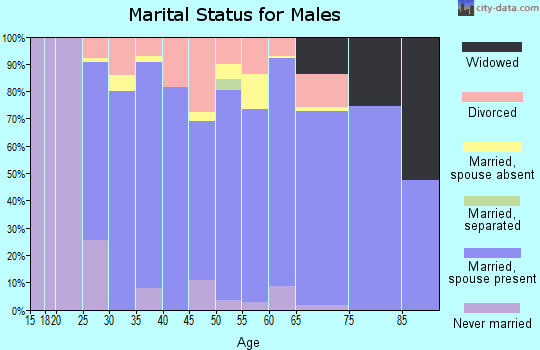 Zip code 48137 marital status for males