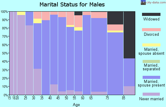 Zip code 48138 marital status for males