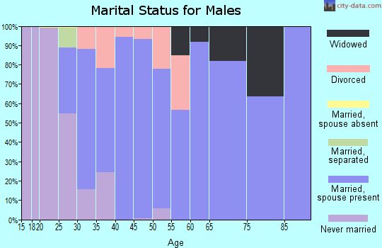 Zip code 48140 marital status for males
