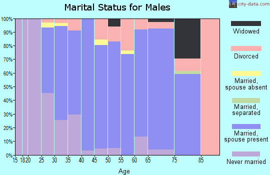 Zip code 48144 marital status for males