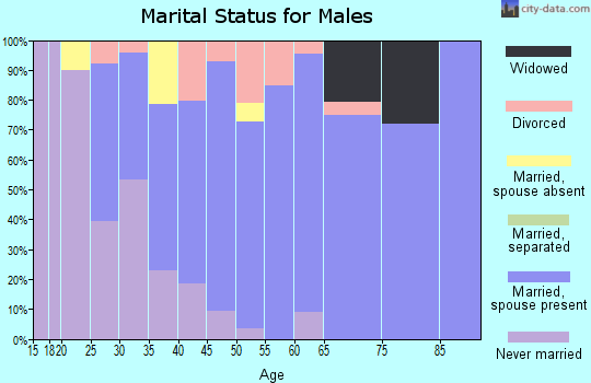 Zip code 48145 marital status for males