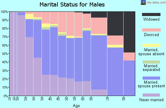 Zip code 48146 marital status for males
