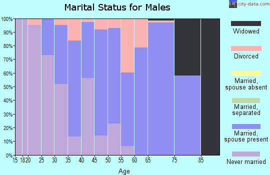 Zip code 48159 marital status for males