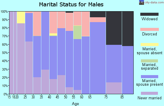Zip code 48166 marital status for males