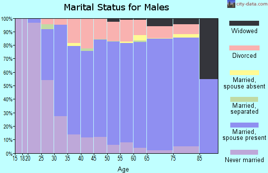 Zip code 48169 marital status for males