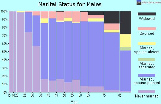 Zip code 48170 marital status