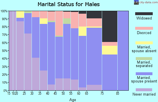 Zip code 48173 marital status for males