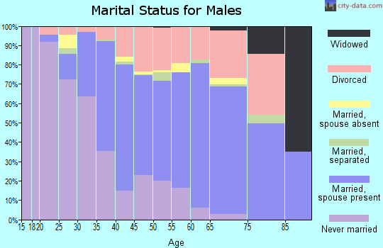 Zip code 48174 marital status for males