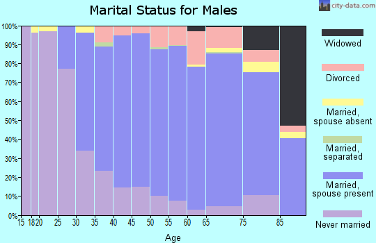 Zip code 48176 marital status for males