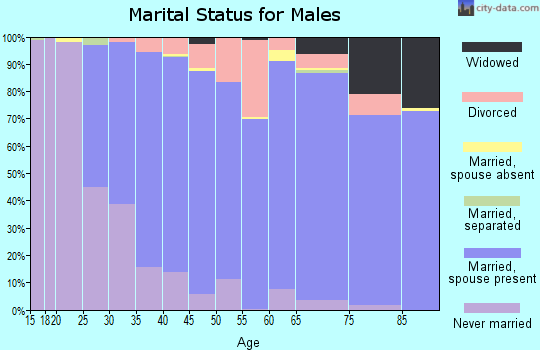 Zip code 48178 marital status for males
