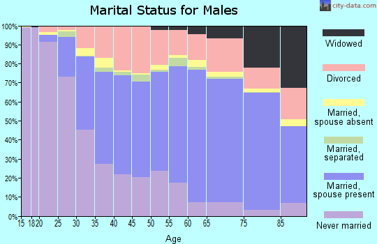 Zip code 48180 marital status for males